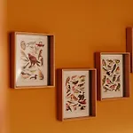 Walker's Cottage, בית נופש *